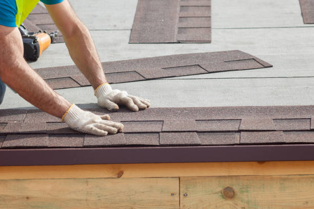 Best Roof Moss and Algae Removal  in Madill, OK